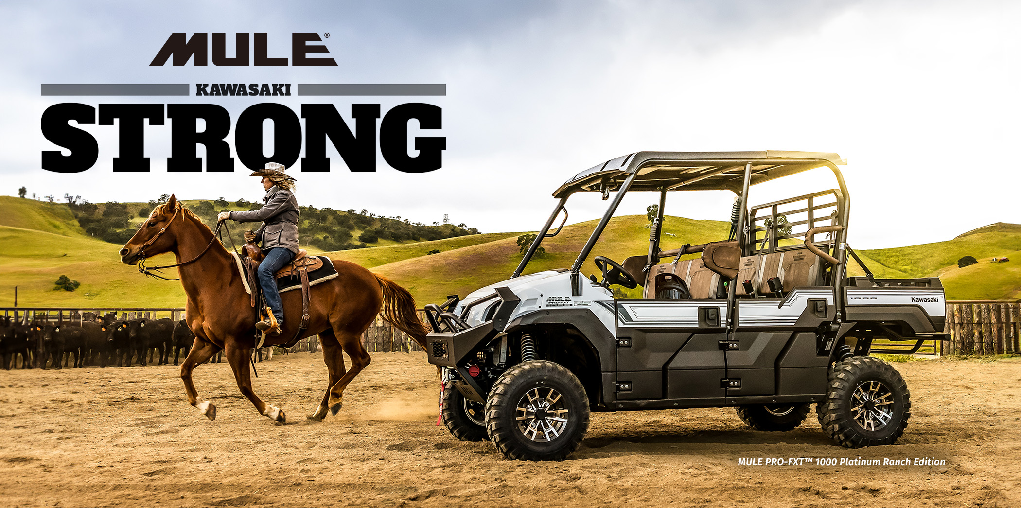 MULE FAMILY: MULE 4010 MULE PRO-FXT RANCH EDITION MULE PRO-MX EPS LE MULE PRO-MX EPS MULE PRO-FXR MULE SX 4X4 XC LE FI