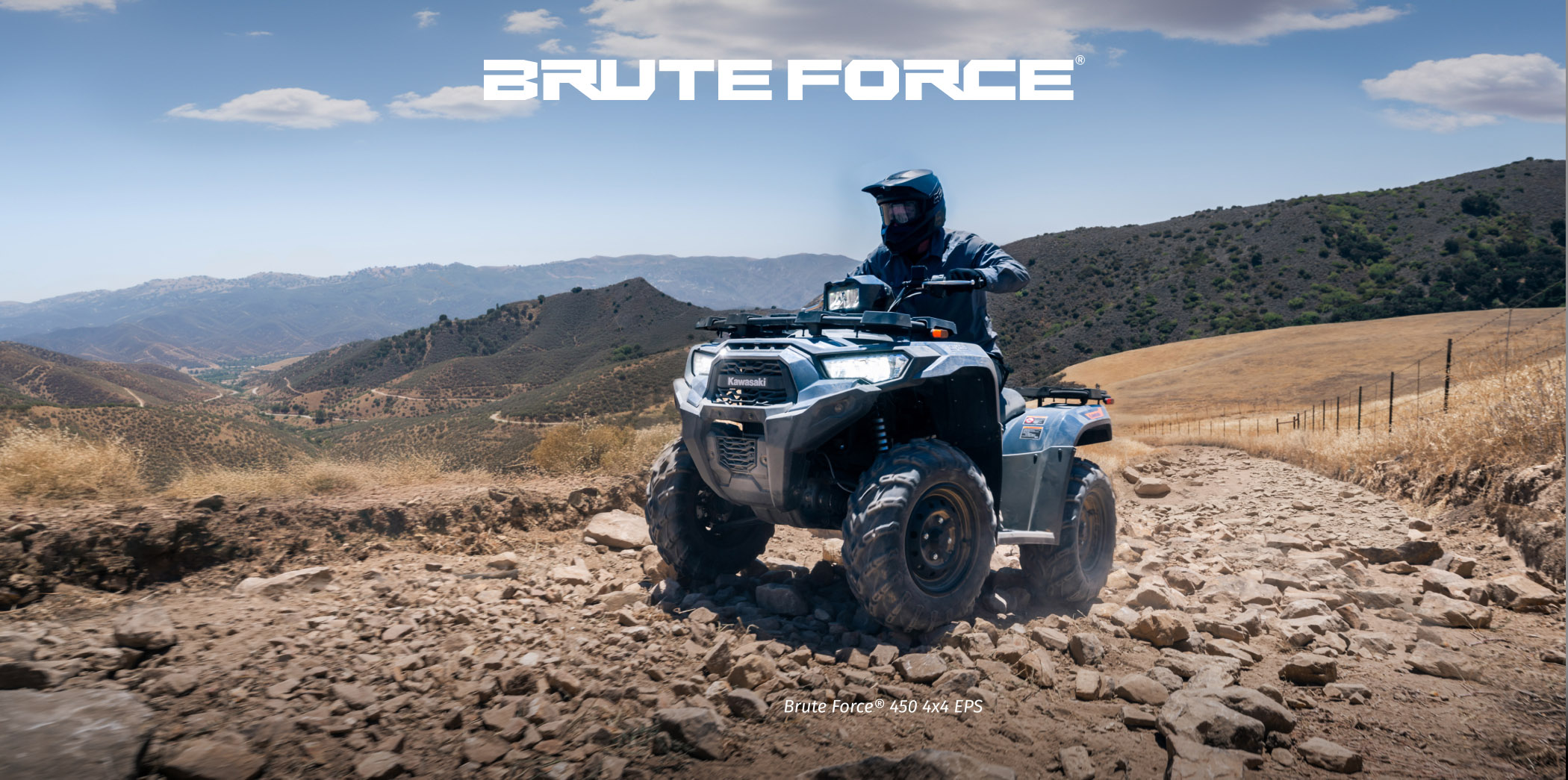 Brute Force FAMILY: 